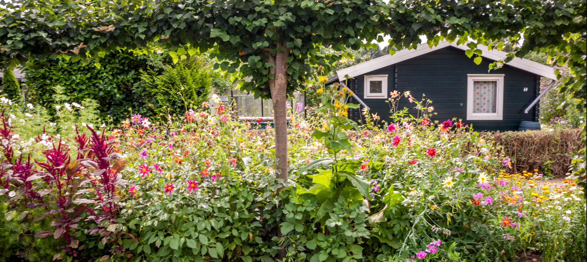 huisjes te – Het Vlijpark Volkstuinen